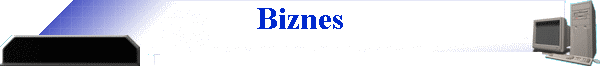 Biznes